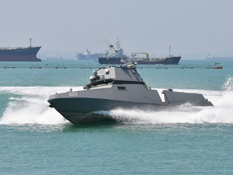 Maritime Law Enforcement / Security Guarding